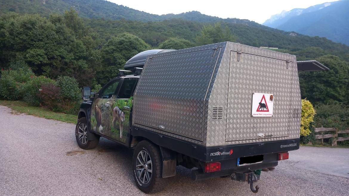 L'orsa JJ4 trasferita in Germania