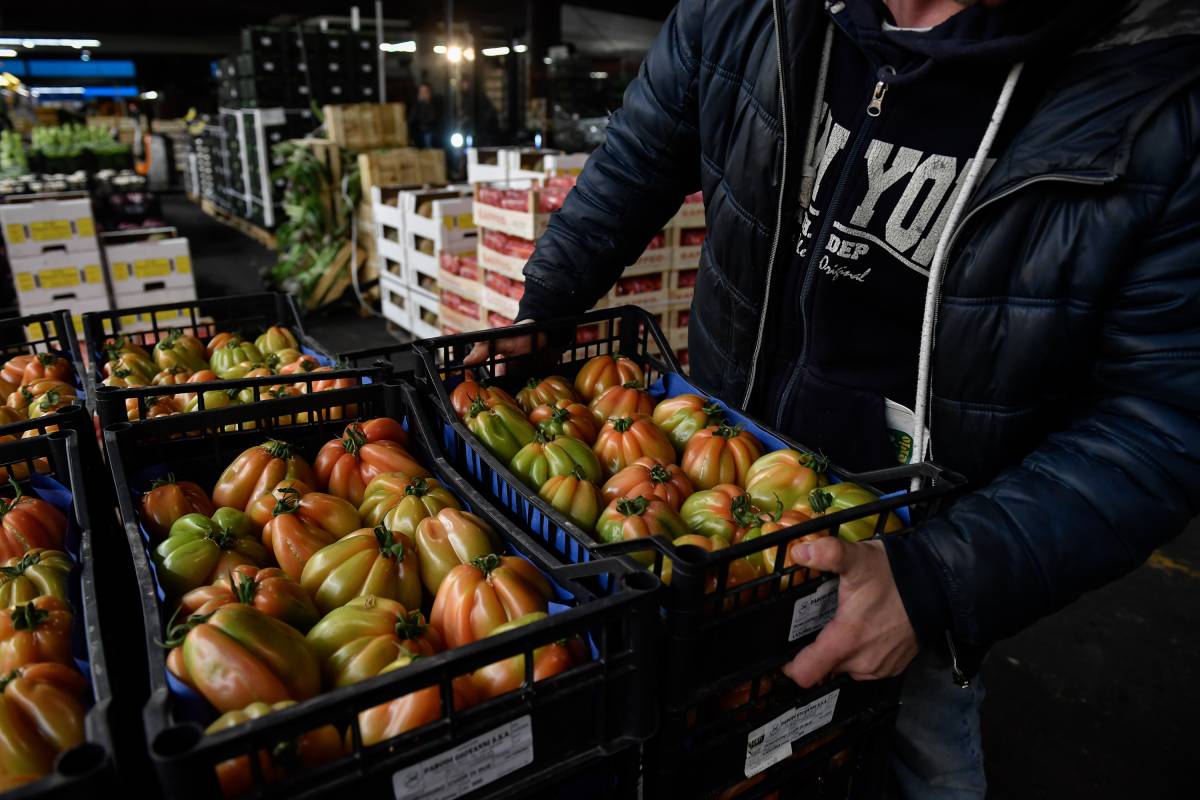 Mercato ortofrutticolo, nuove tariffe. Sogemi: "Passo in avanti"