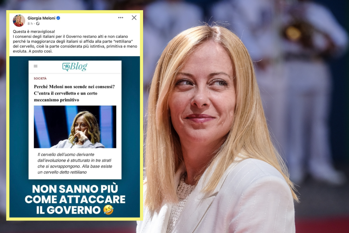 Il cervello "rettiliano". L'ultimo delirio sul Fatto Quotidiano pur di attaccare Meloni