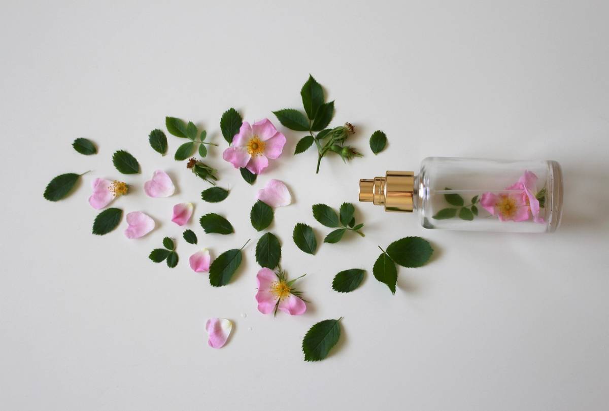 https://img.ilgcdn.com/sites/default/files/styles/xl/public/foto/2025/07/26/1753523468-scent-roses-3397281-1280.jpg?_=1753523468