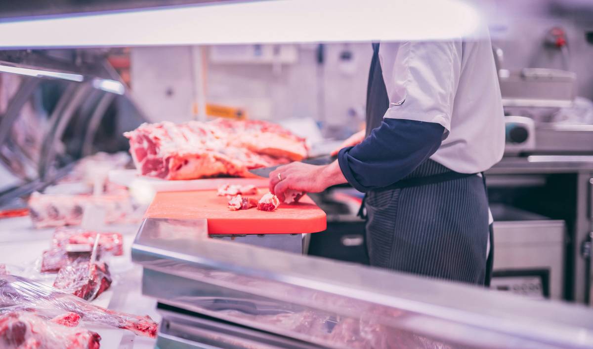 Bologna, anche gli animalisti contro la dieta halal nelle scuole: "L'inclusione non passi attraverso la sofferenza degli animali"