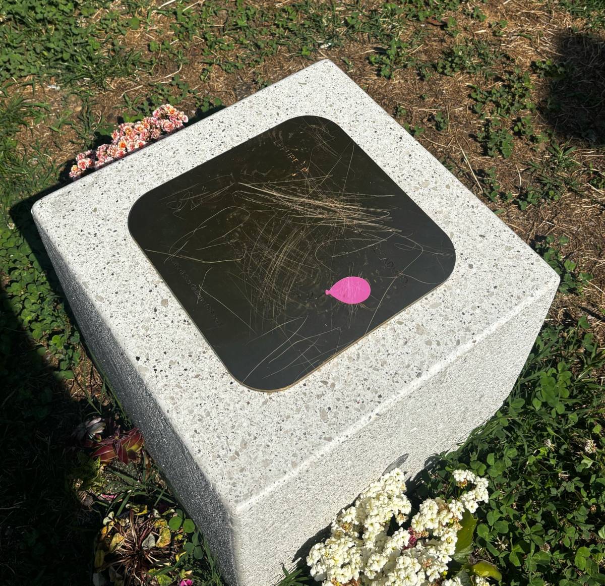 Vandalizzata la targa dedicata a Diana Pifferi. L'ultimo sfregio alla bimba morta di stenti