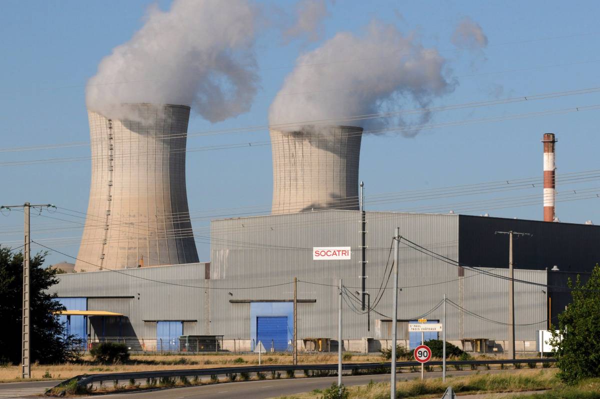 Invasione di meduse, allarme nella mega centrale nucleare francese: cosa è successo