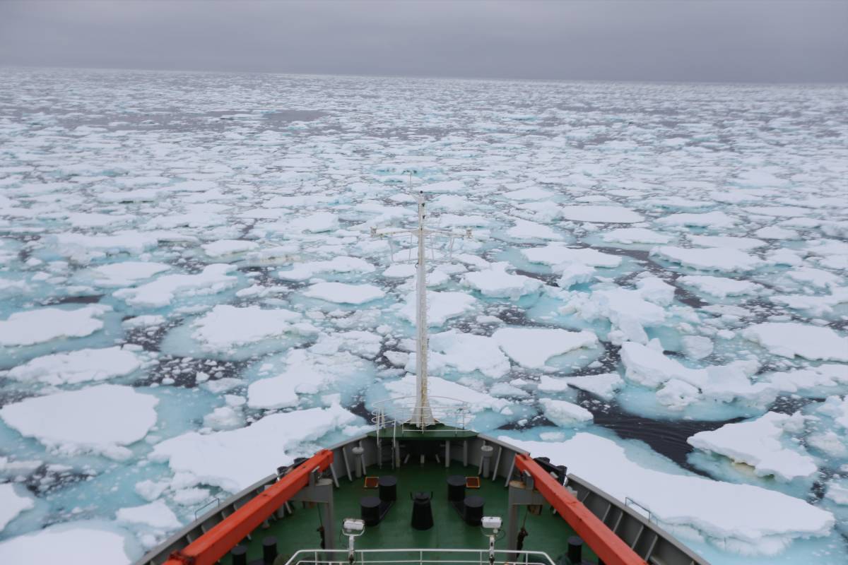 Pechino muove cinque navi verso l'Alaska: perché è alta tensione con gli Usa