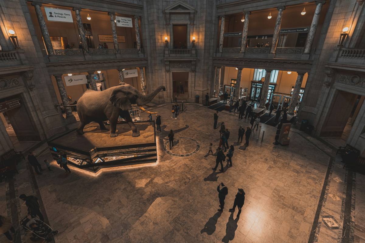 Trump, mani sullo Smithsonian. Lotta al woke con le stesse armi