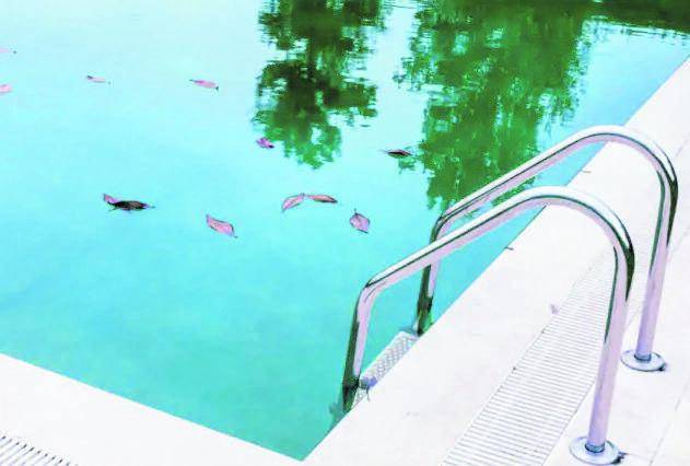 Un altro bimbo annegato in piscina: aveva due anni