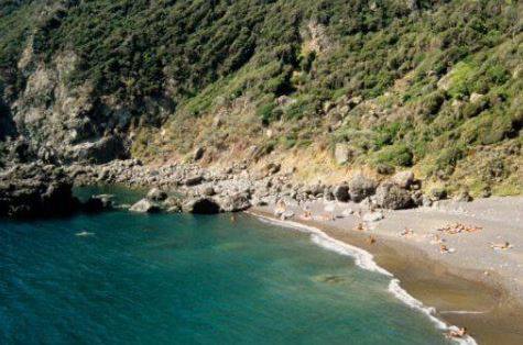 Dal sito guidagay.it