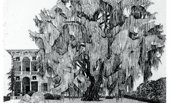 Sono interattivi i teleri di Federica Galli, la "Signora degli alberi"
