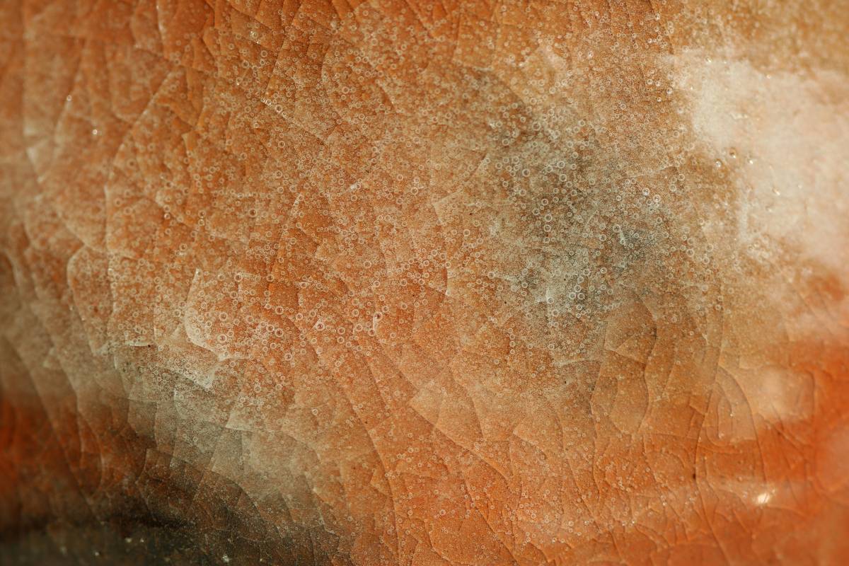 https://img.ilgcdn.com/sites/default/files/styles/xl/public/foto/2025/09/15/1757911967-tim-johnson-y1pwmewupbu-unsplash.jpg?_=1757911967