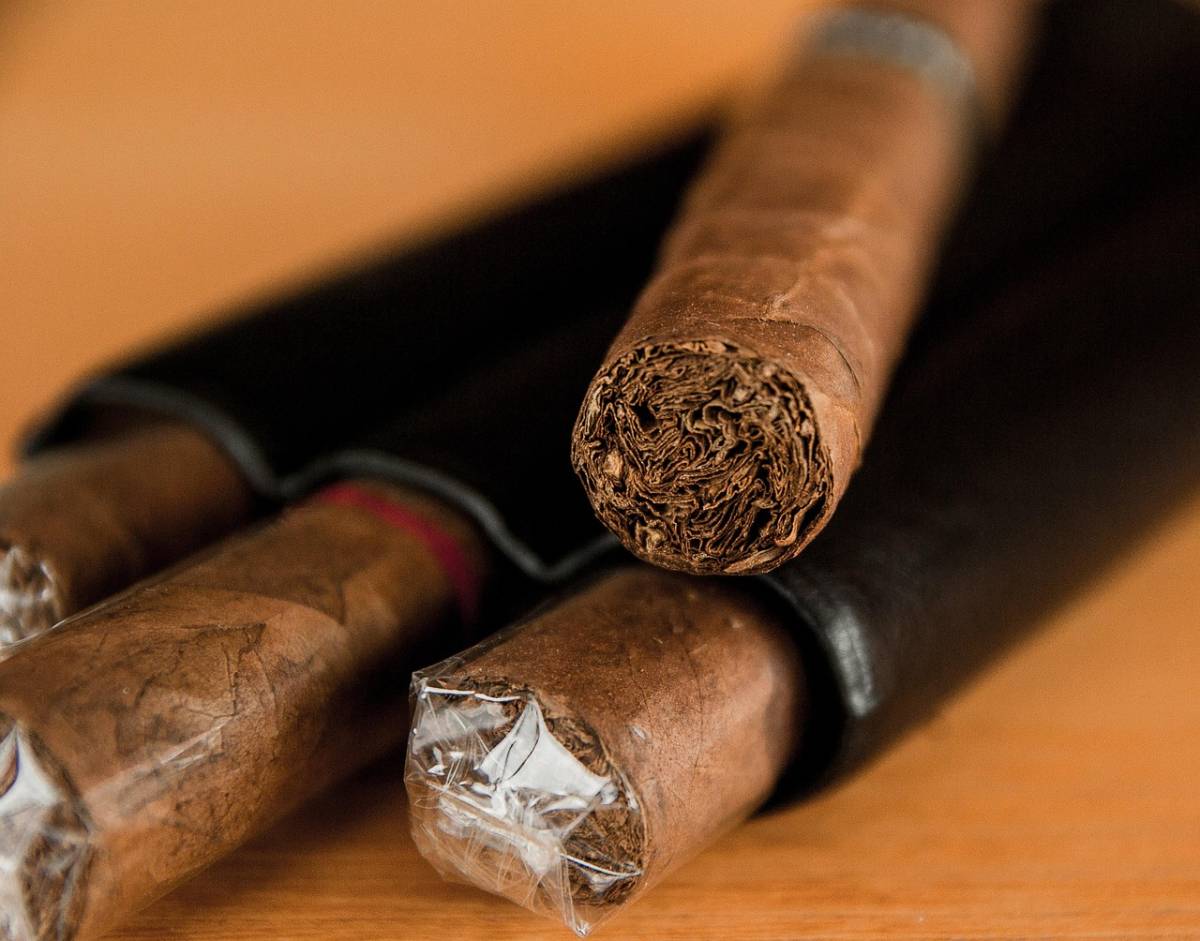 https://img.ilgcdn.com/sites/default/files/styles/xl/public/foto/2025/10/11/1760177761-cigar-1293684-1280.jpg?_=1760177761
