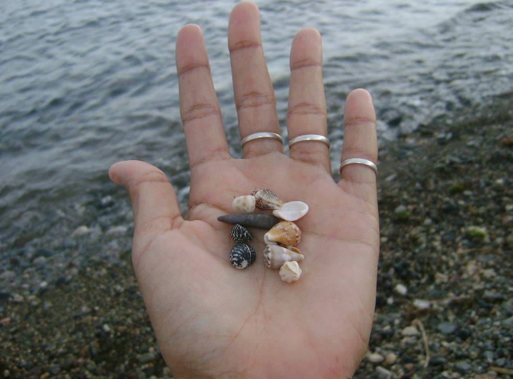 Uno studio sulle lumache di mare e le 24 ore della memoria, tra tassisti londinesi e altri animali