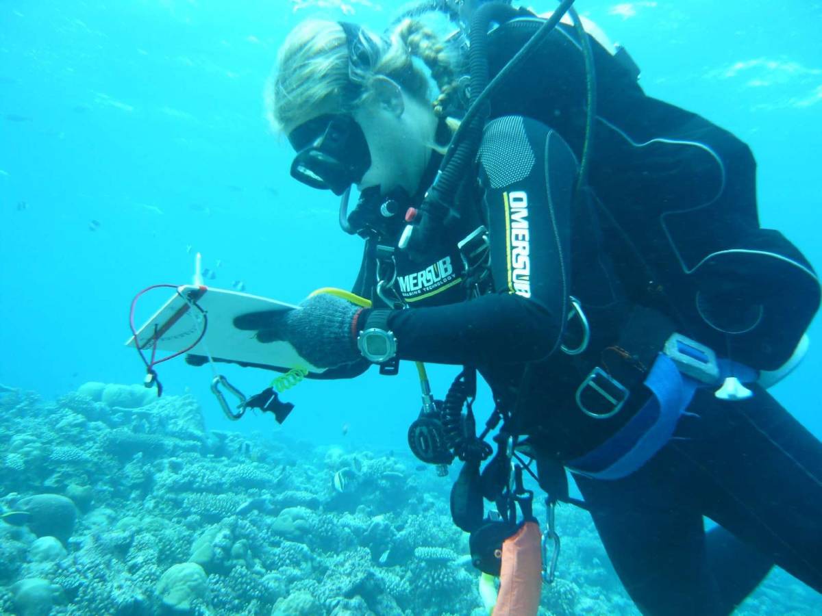 Strage di sub alle Maldive, il mistero delle bombole: cosa c’entra il Nitrox e quando diventa pericoloso