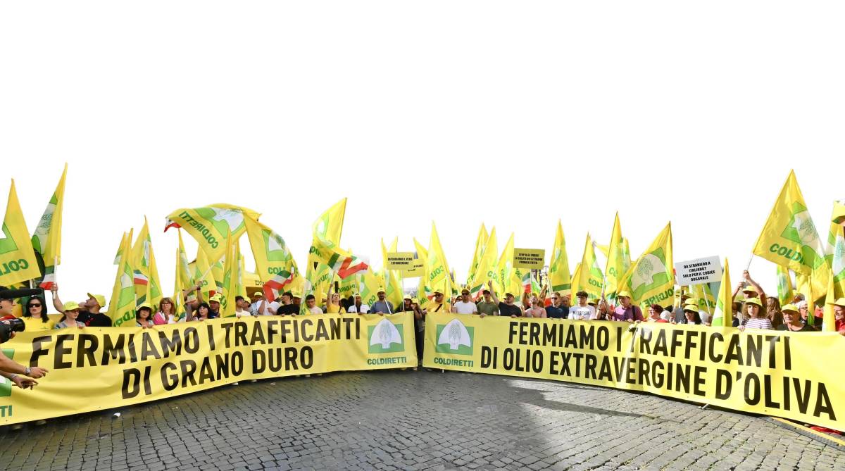 "Giù le mani da grano e olio". Coldiretti contro le speculaz