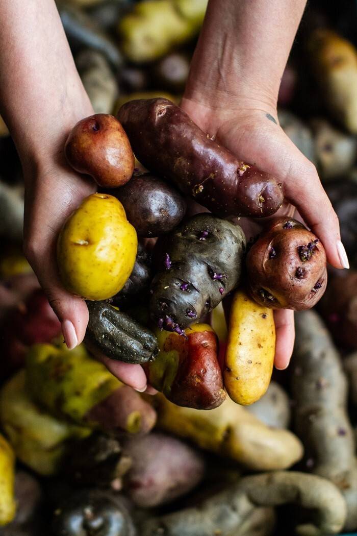 The World’s 50 Best Restaurants sbarca a Lima