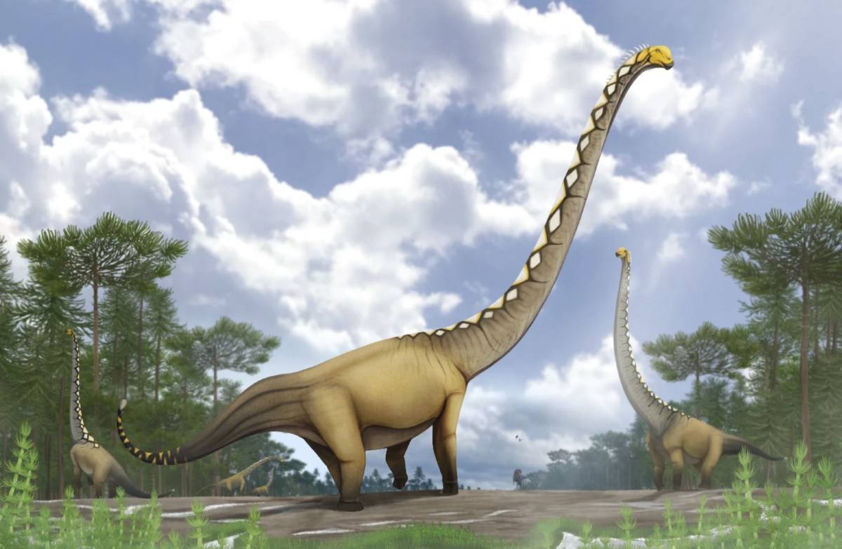 Un nuovo dinosauro gigante scoperto in Thailandia grazie a una sola vertebra