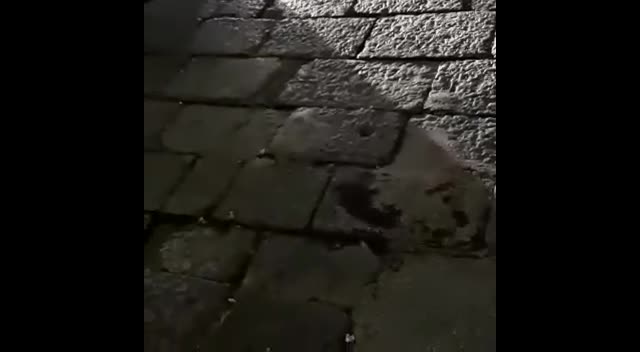 Il video degli autobus bloccati dalla sosta selvaggia