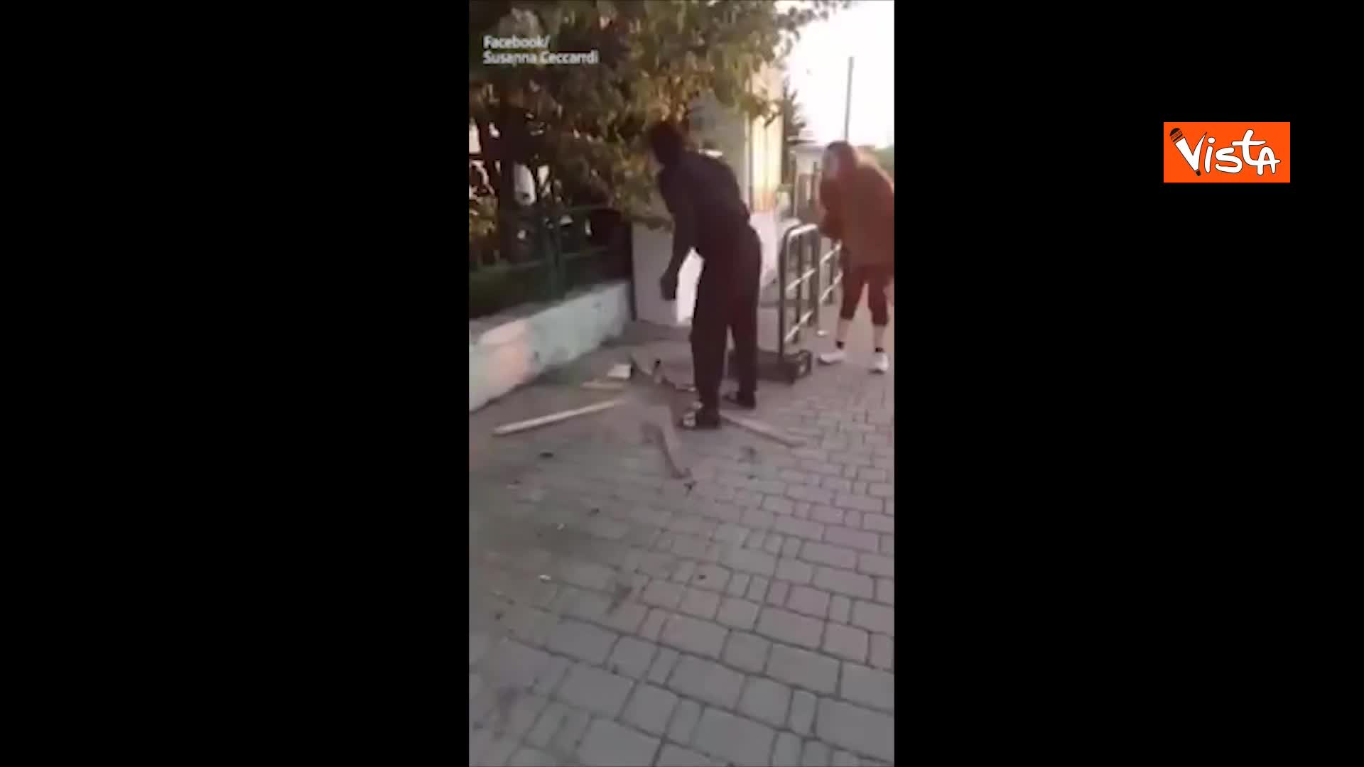 Immigrato arrostisce gatto alla stazione Campiglia Marittima