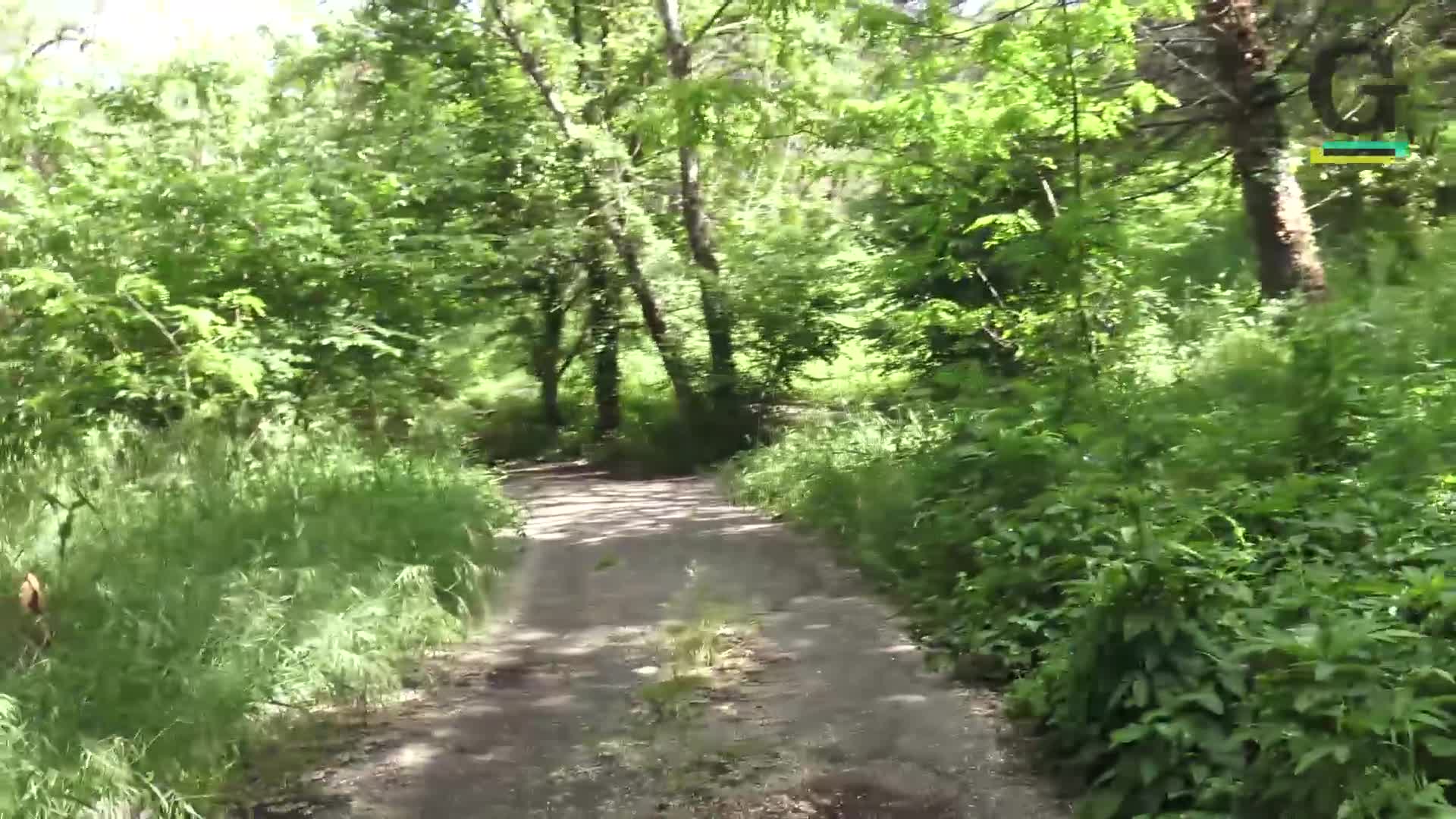 Nel parco degli orrori: "Forse l'aggressore è passato di qui"