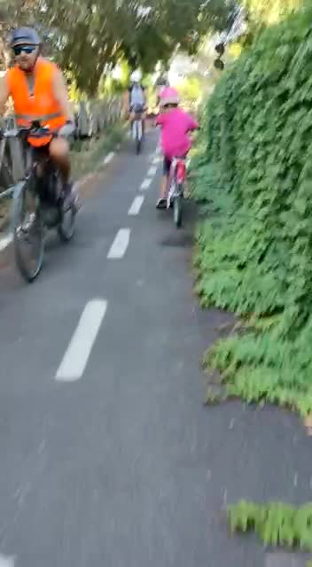 Questo è lo stato in cui versa una pista ciclabile di Roma