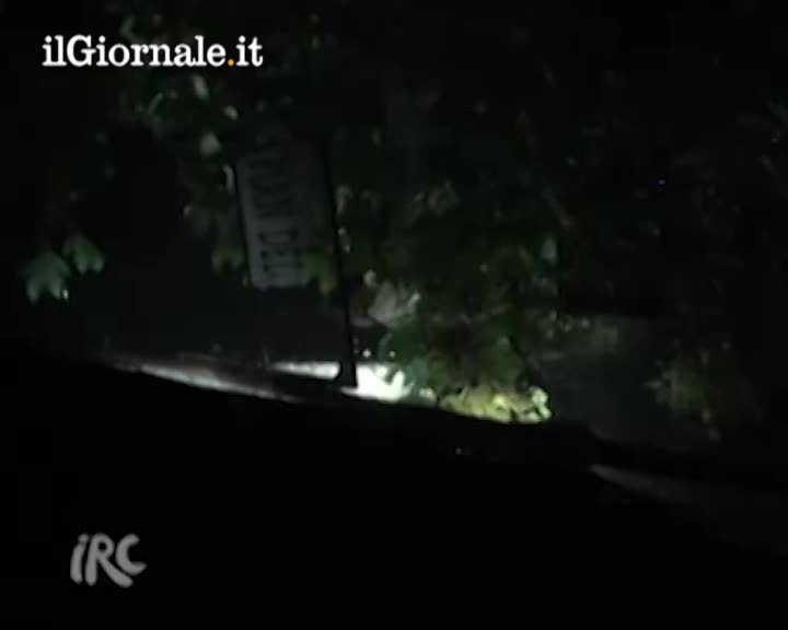 Pilota di rally, esce di pista e finisce su un tetto