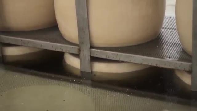 Solo una forma su un milione: ritrovato miracolosamente il Parmigiano del secolo scorso