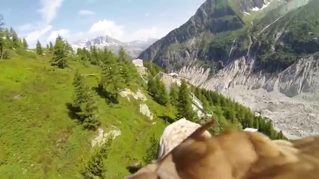 Il mondo visto da un'aquila