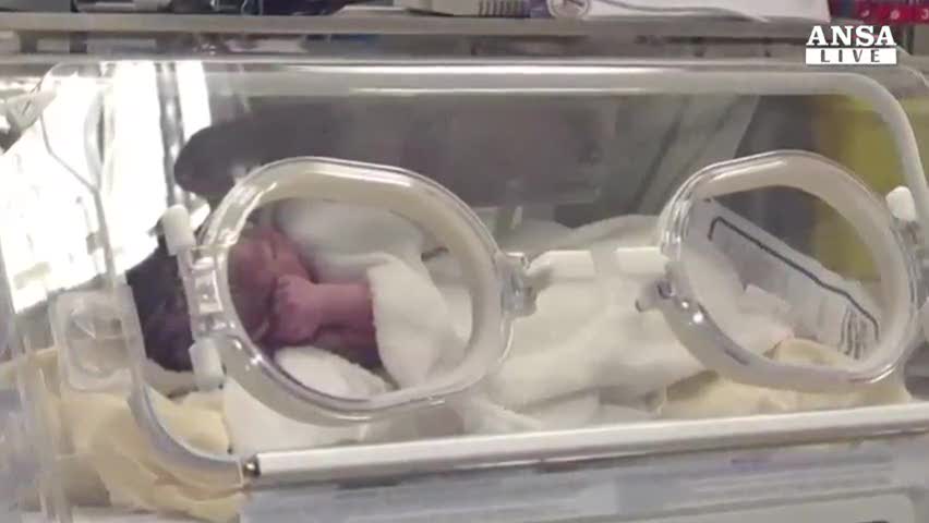 Dopo 38 anni fiocco rosa in un comune del foggiano