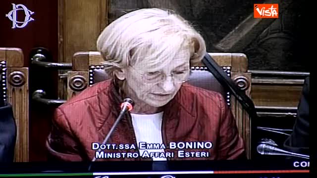 Bonino: "In Siria la più grande operazione di disarmo"