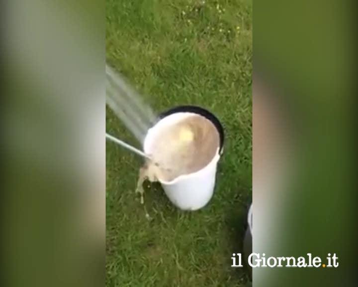 Come pelare un chilo di patate in 30 secondi