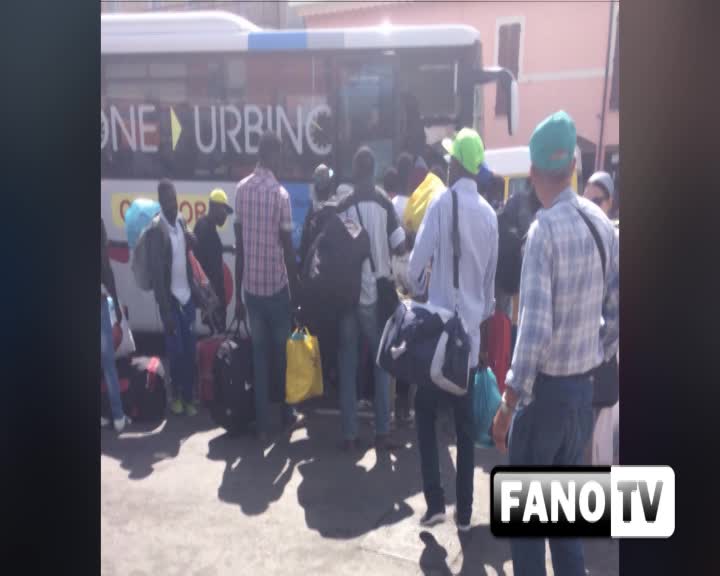 L'autista: "Così i venditori abusivi hanno assaltato il bus"