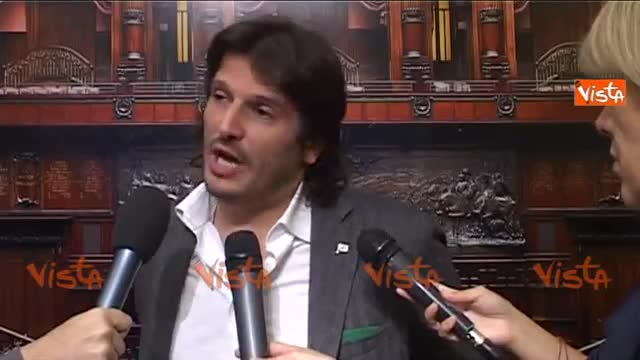 Ius soli, la Lega: "La sinistra importa immigrati"
