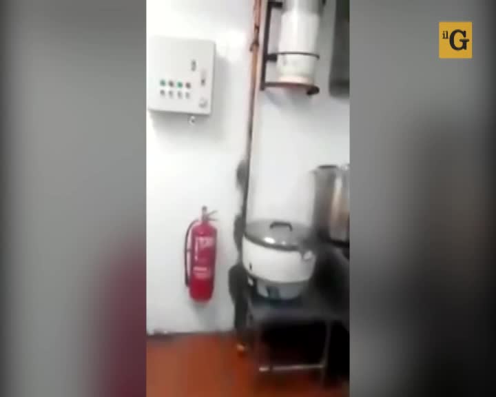 Quando il cuoco non c'è...i topi ballano