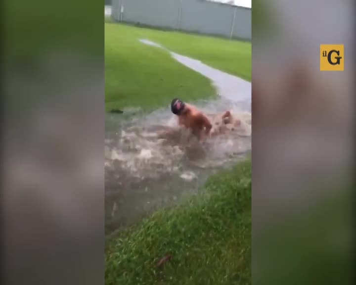 Alluvione in Louisiana. Meglio scherzarci su