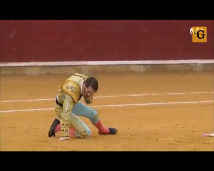 Torero senza un occhio viene incornato di nuovo