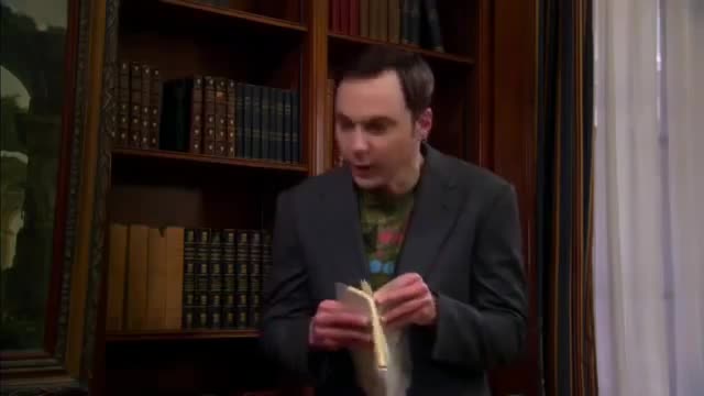 Sheldon incontra Stephen Hawking