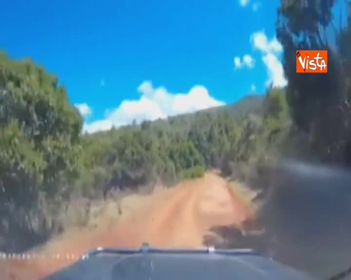 Paura in Kenya, coppia di turisti fugge per miracolo dai banditi armati di machete