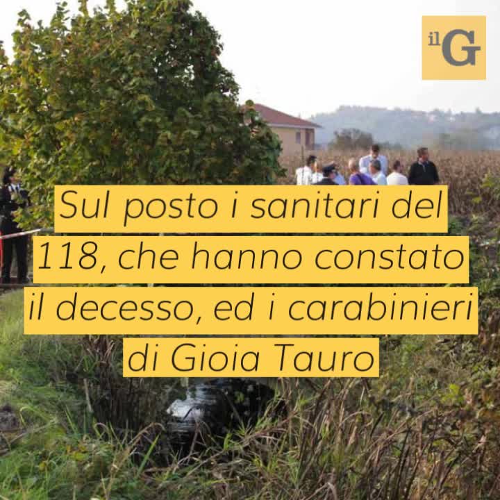 Ivoriano trovato morto in un agrumeto con profonda ferita alla gola, giallo a Rosarno