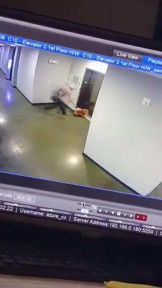 Le porte dell’ascensore si chiudono e il guinzaglio resta bloccato: cane rischia decapitazione