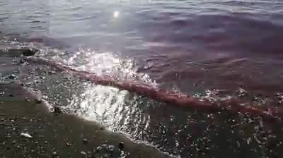 Napoli, mare diventa rosso a San Giovanni